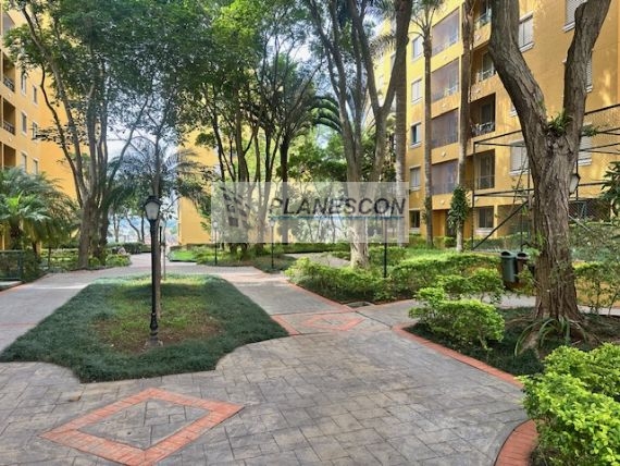 Apartamento à venda, Vila Sonia, São Paulo